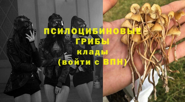 мескалин Алексин