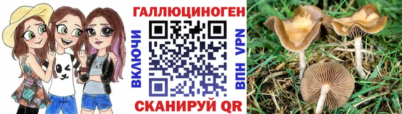 mega ссылки  Фатеж  Псилоцибиновые грибы мухоморы 
